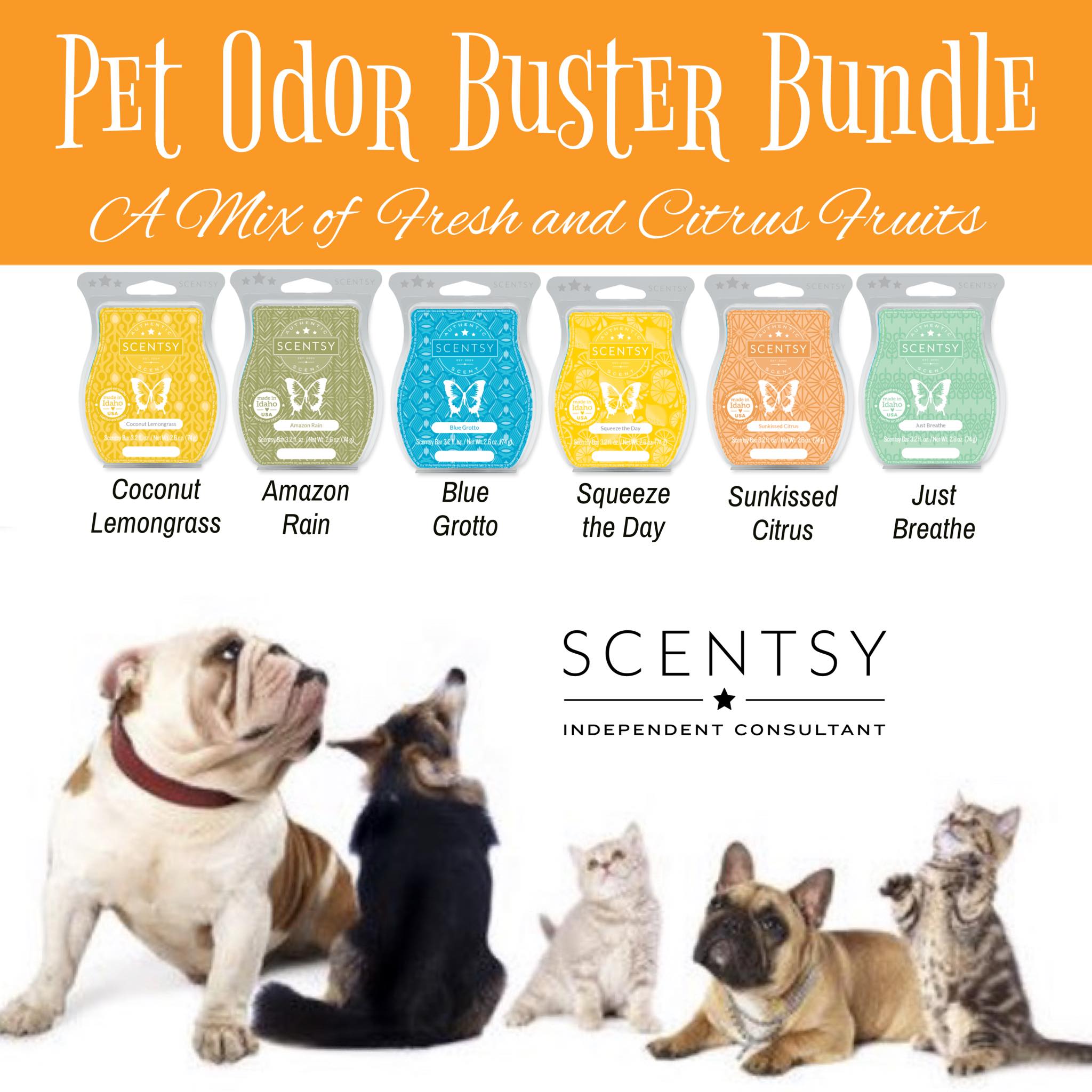 Pet Odor Bundle and Pet Supplies